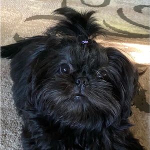 Meet your Posher, Penny